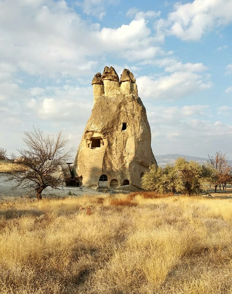 Photograph by Евгений Савулькин