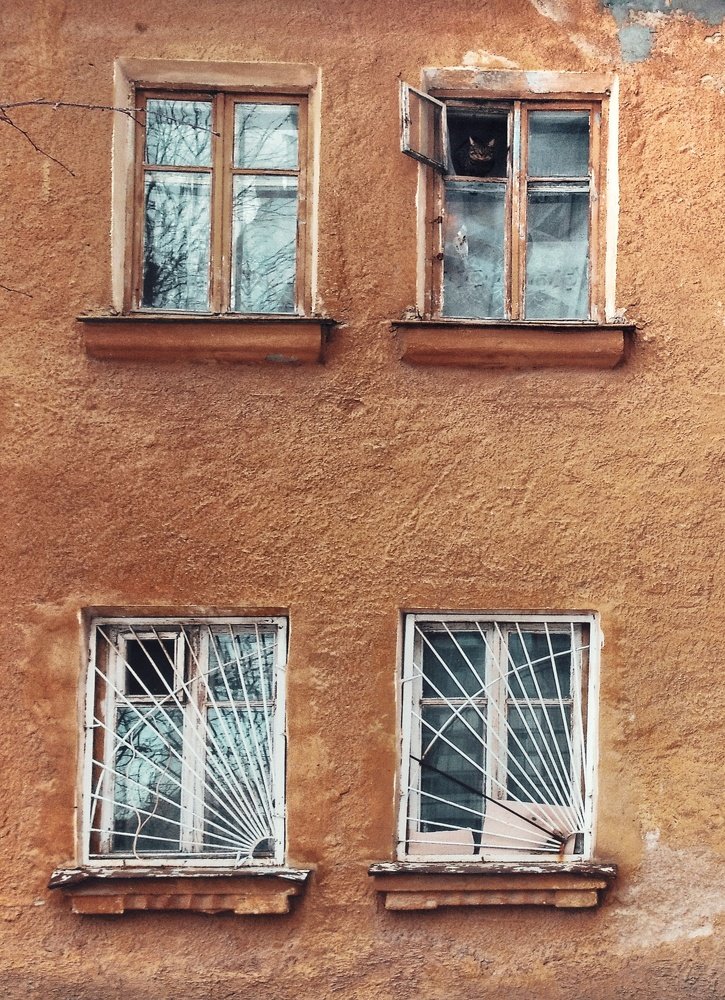 Photo #5411950