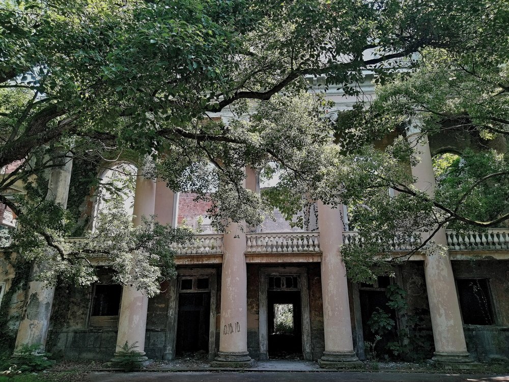 Photograph by Елена Харитонова