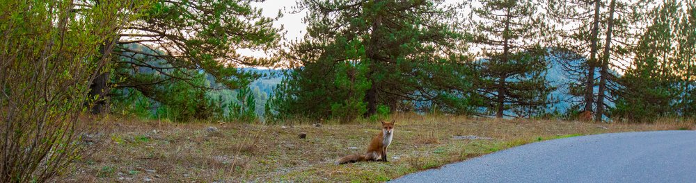 Photograph by Dimitris Sarracino