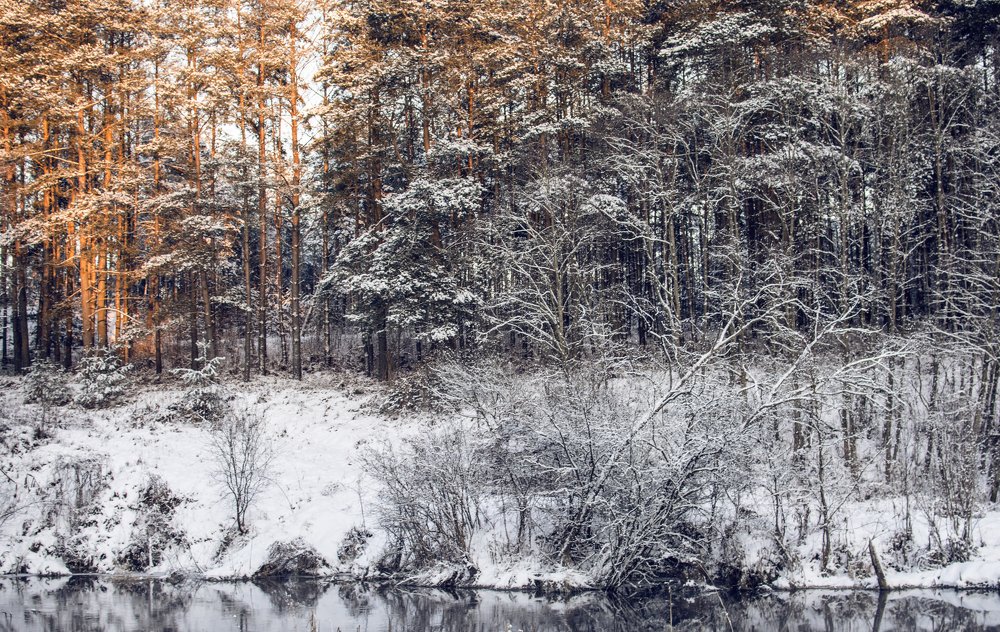 Photograph by Toma Samuole