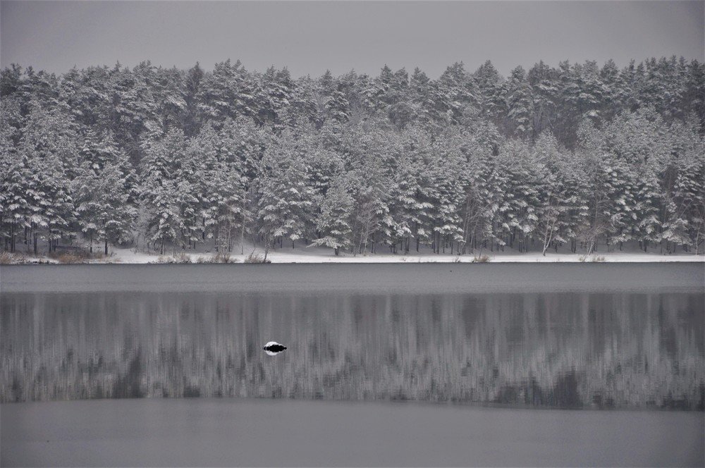 Photograph by 