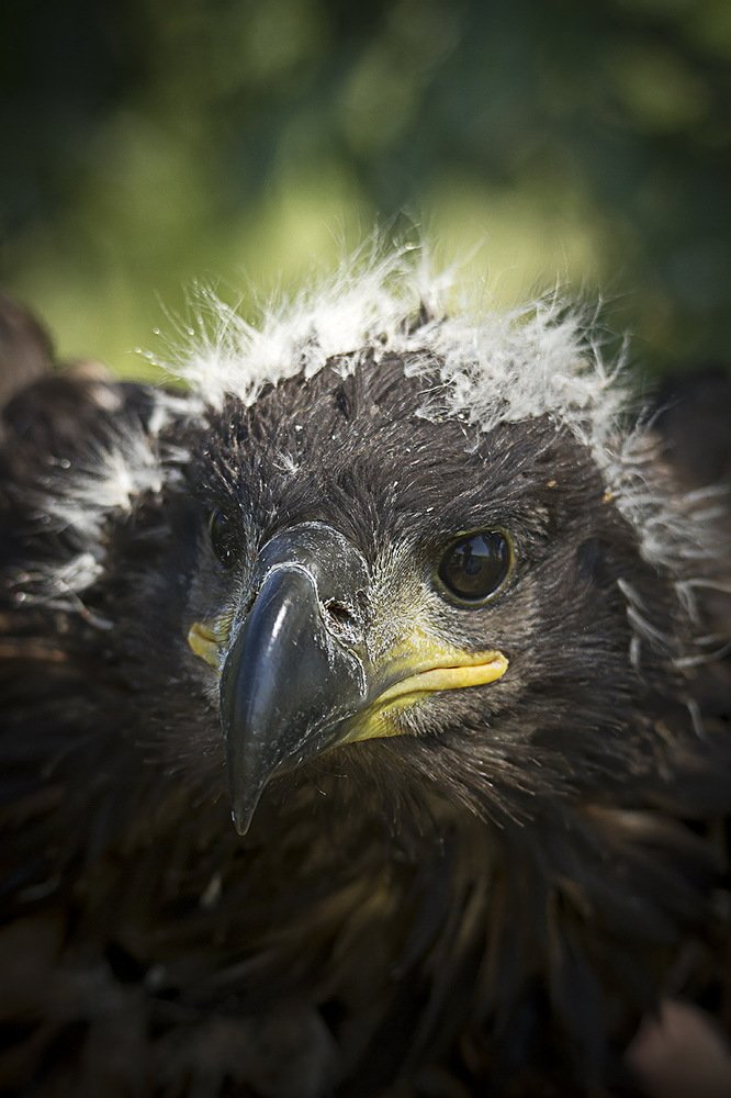 Photograph by Андрей Костромин