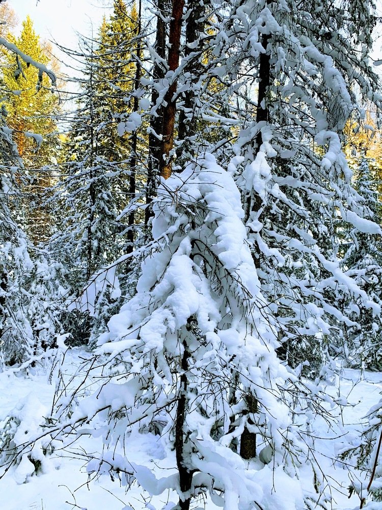 Photograph by Светлана Хохлова