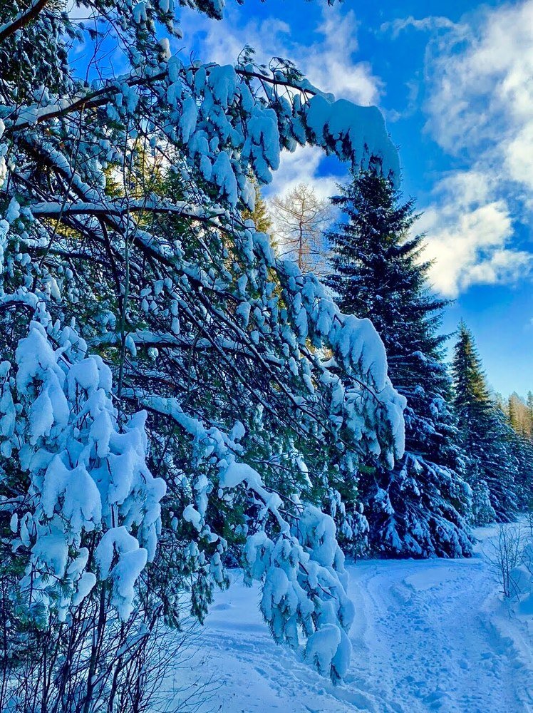 Photograph by Светлана Хохлова