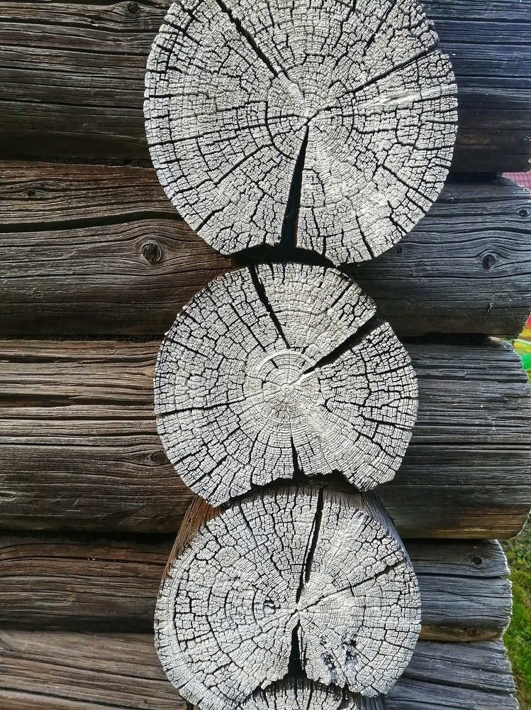 Фотография автора Евгения Снигирева