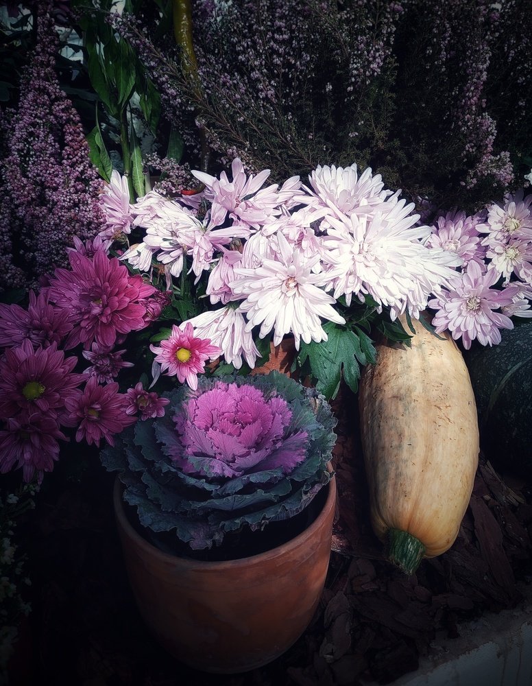 Photograph by Людмила М