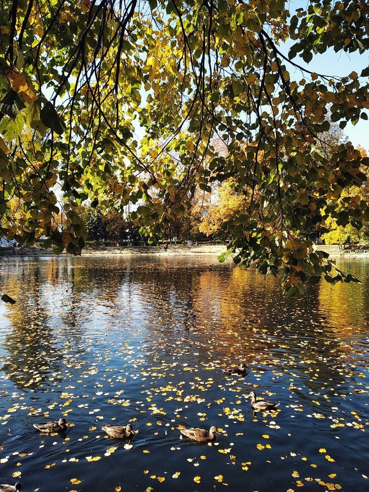 Photograph by Людмила М