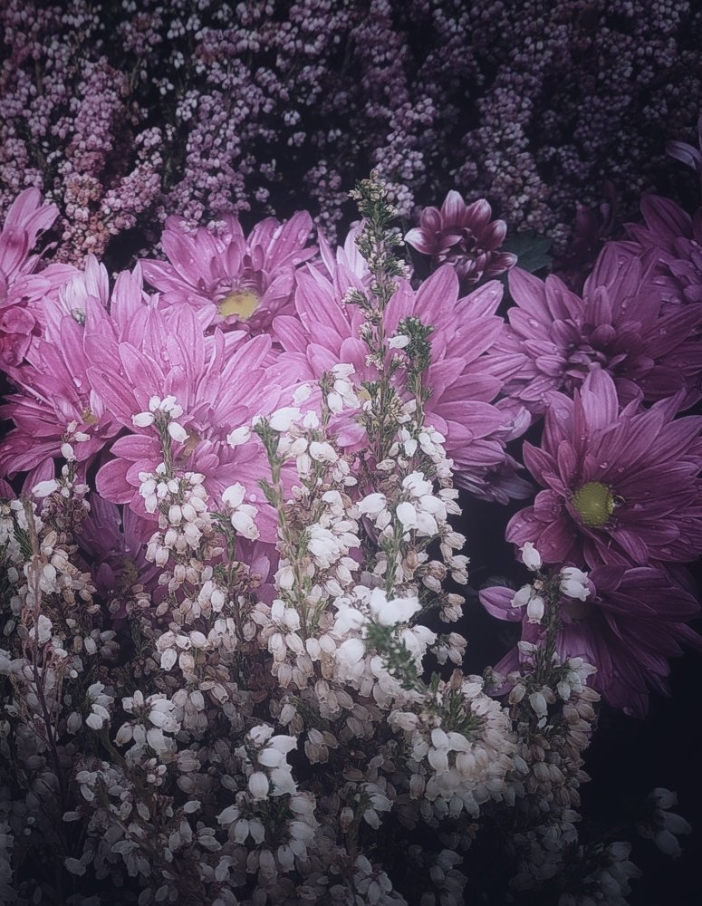 Photograph by Людмила М