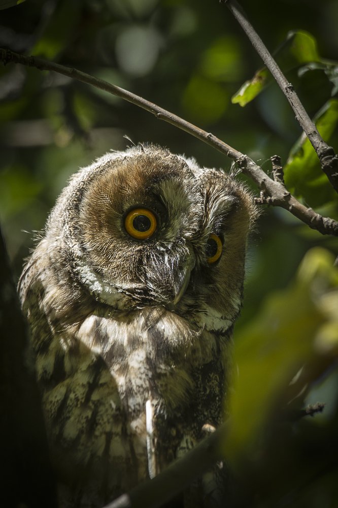 Photograph by Андрей Костромин