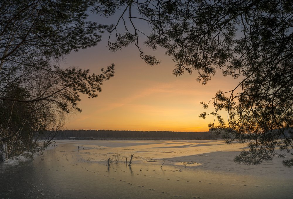 Photograph by Александр Корнейчев