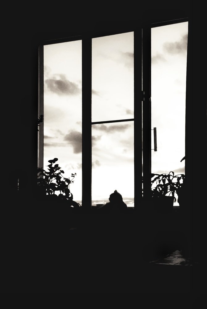 Photograph by Людмила М