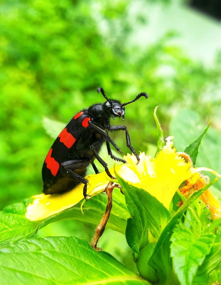 Фотография автора Venkatesh Rao