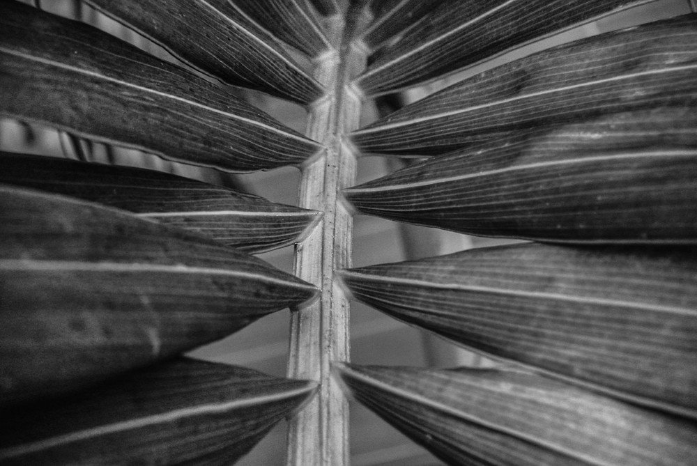 Photograph by  LUIS GERARDO