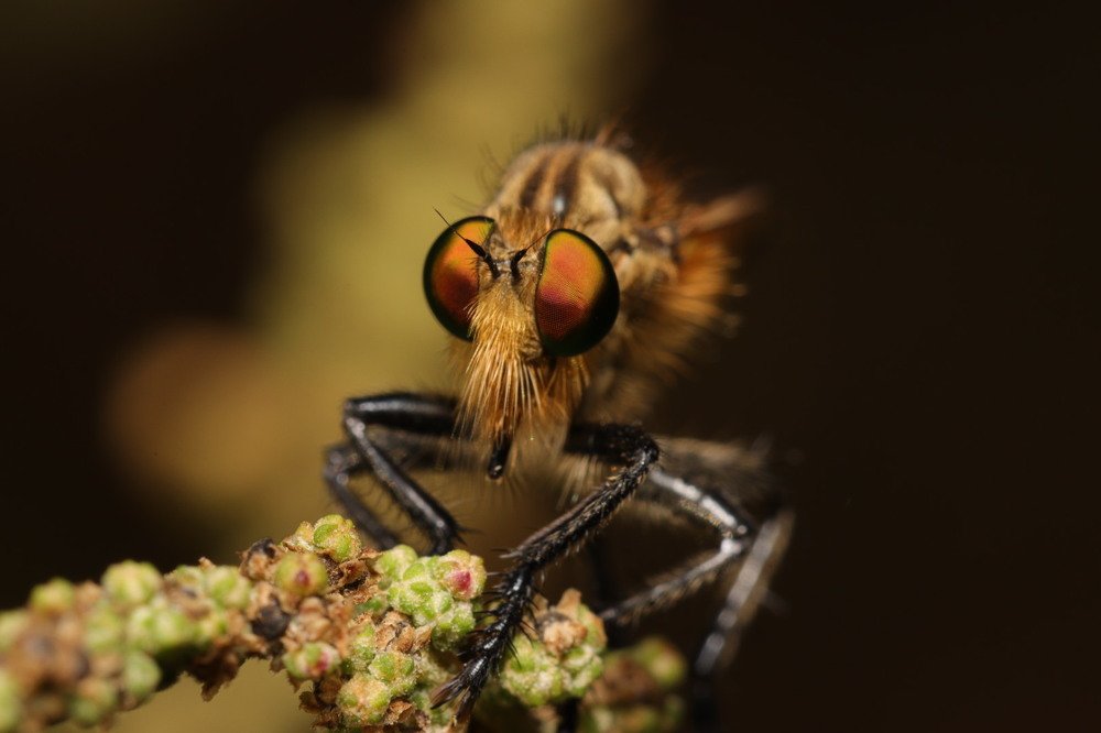 Фотография автора Ashir Kumar