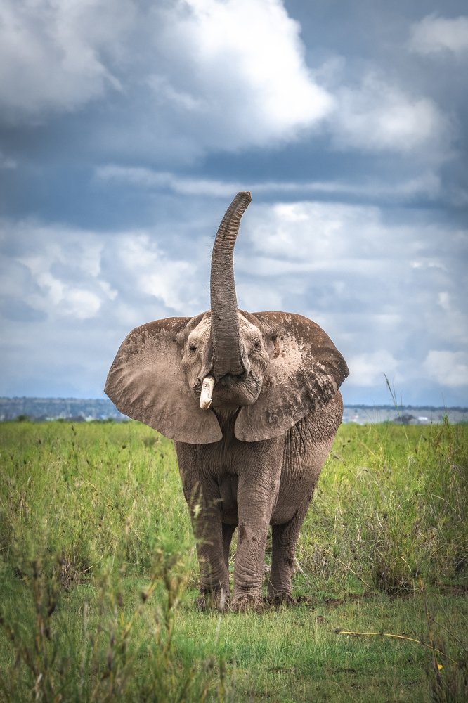 Удары судьбы/A stroke of fate