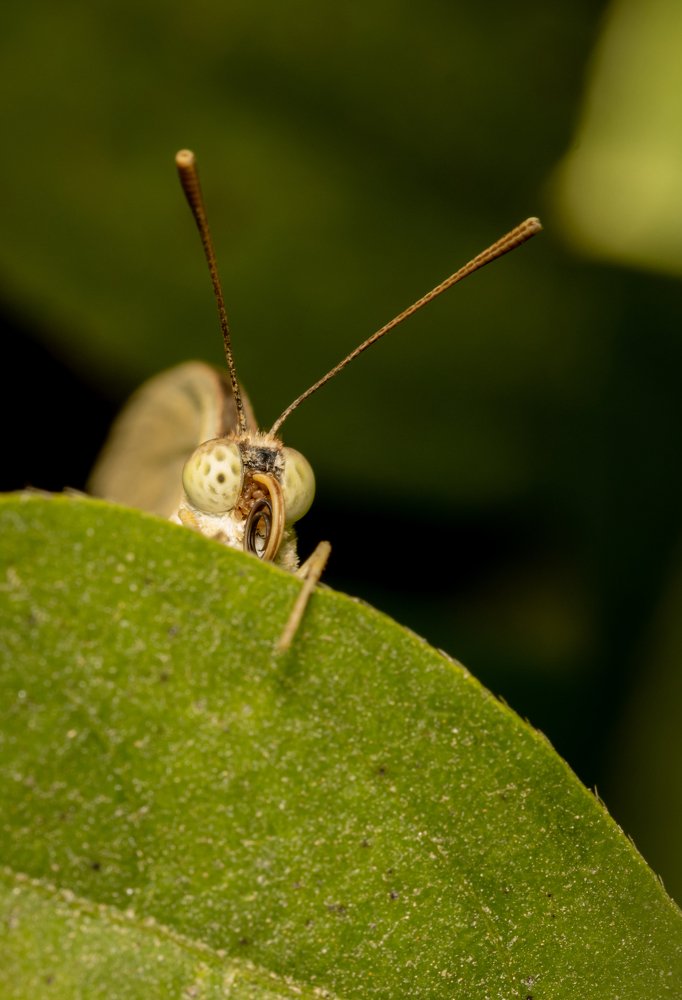 Фотография автора Ashir Kumar