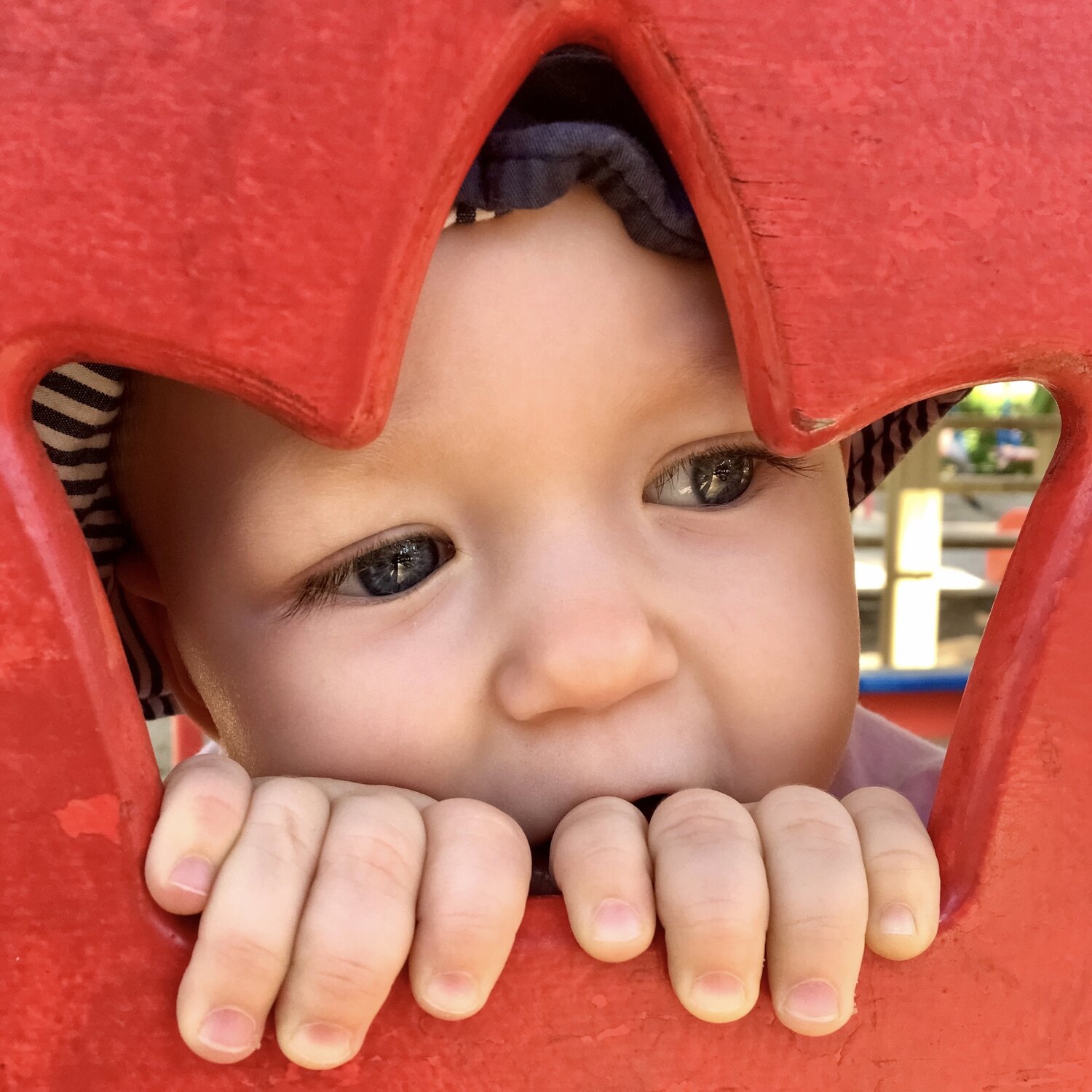 Photo #5412535