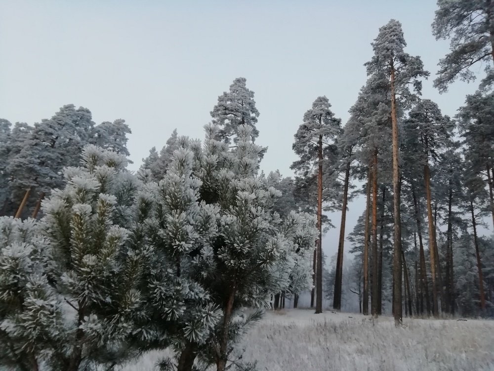 Красиво