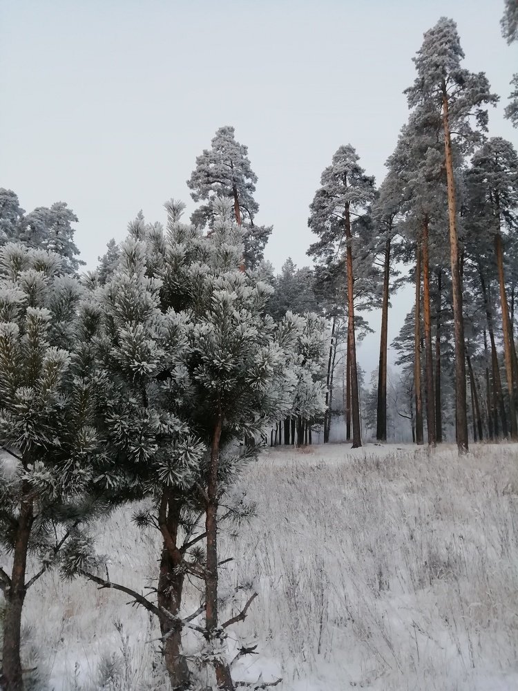 Photo #5412539