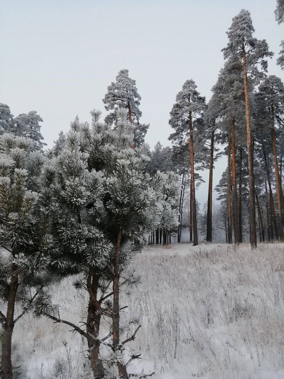 Photo #5412539
