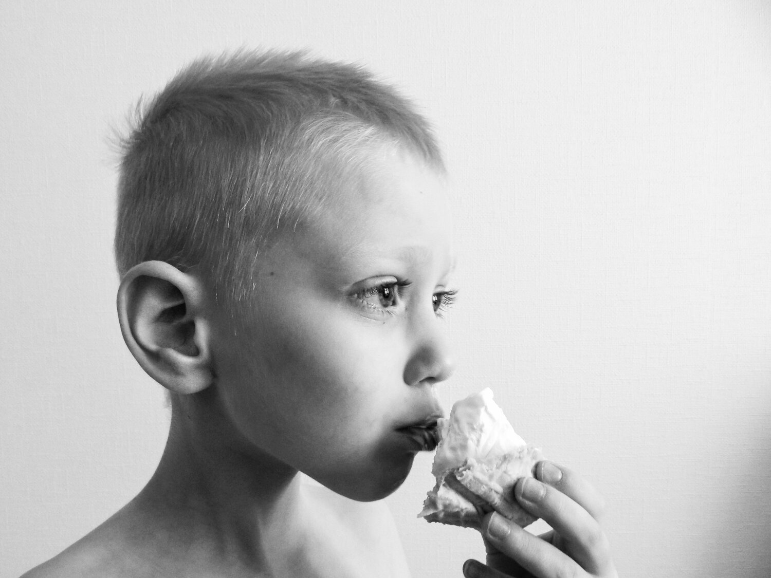 Photo #5412567