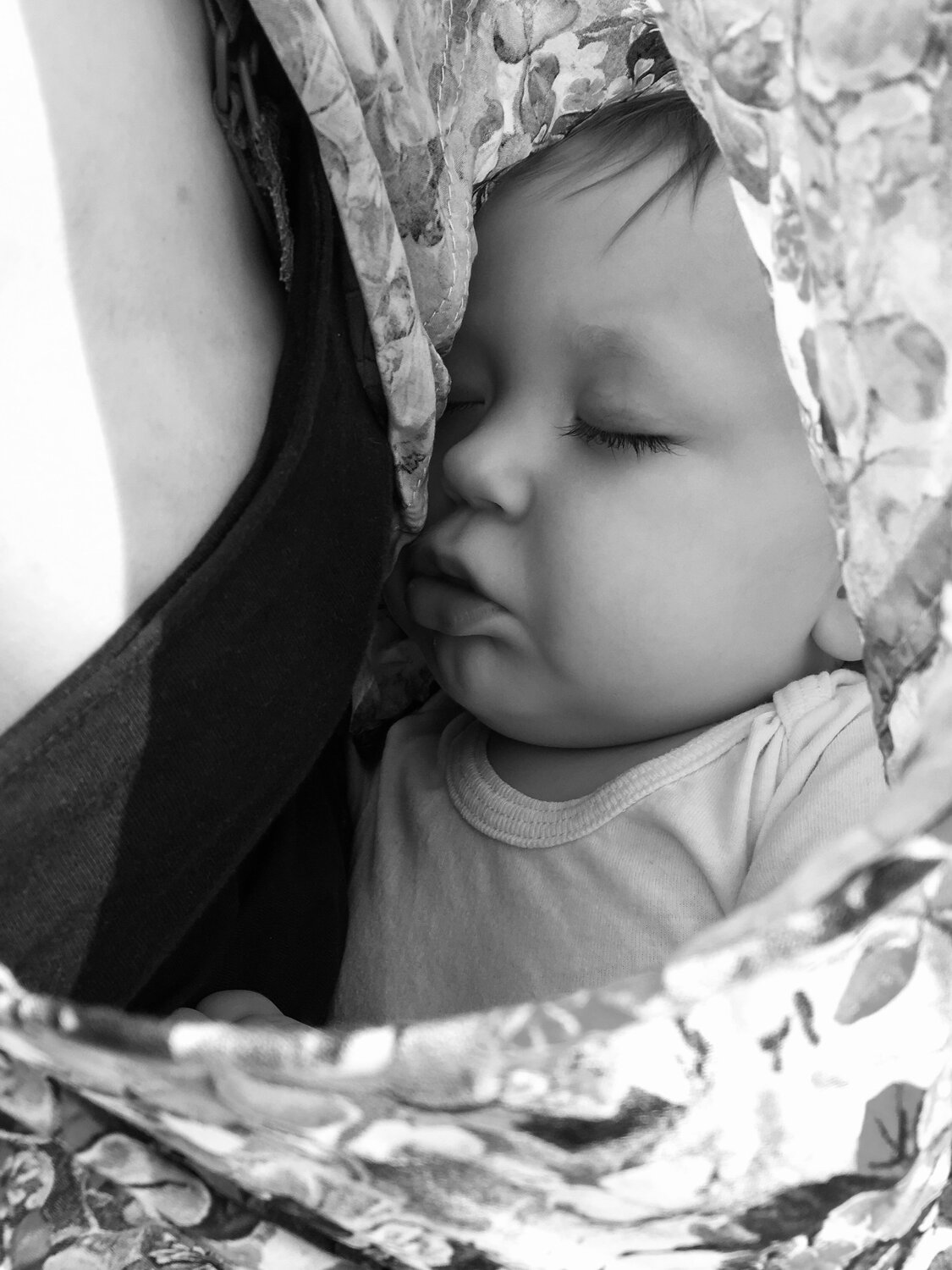 Photo #5412568