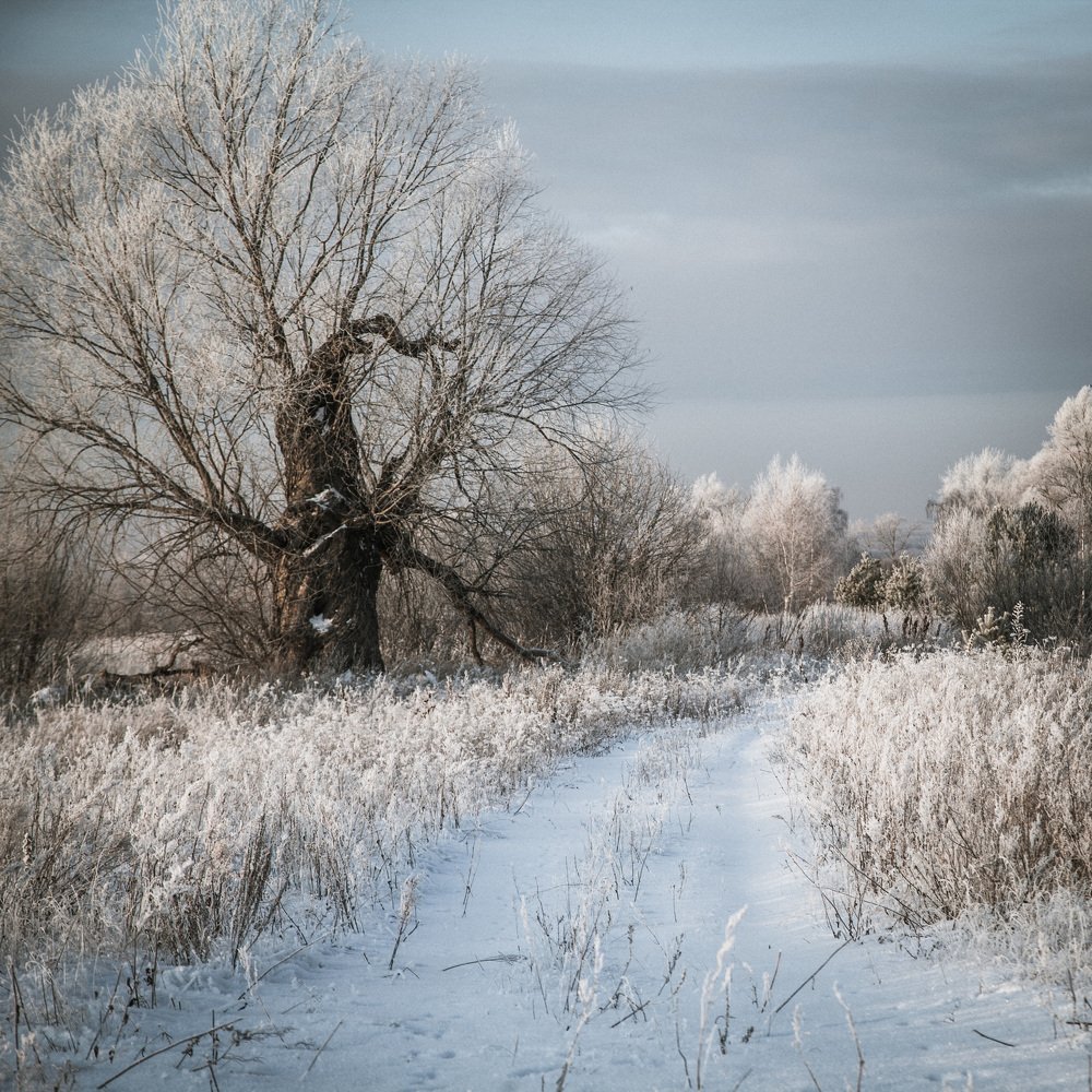 Зимний день