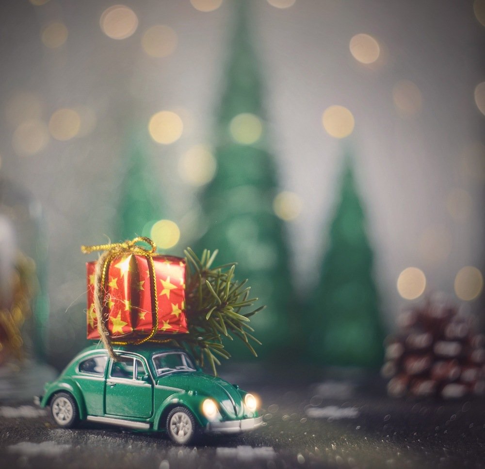 Фотография автора Виктория Шаманова