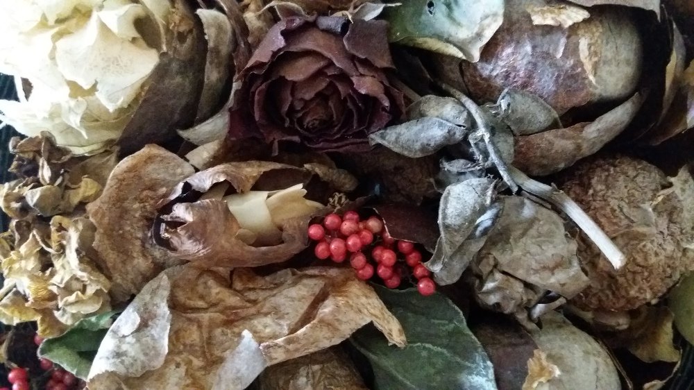 Photo #5412692