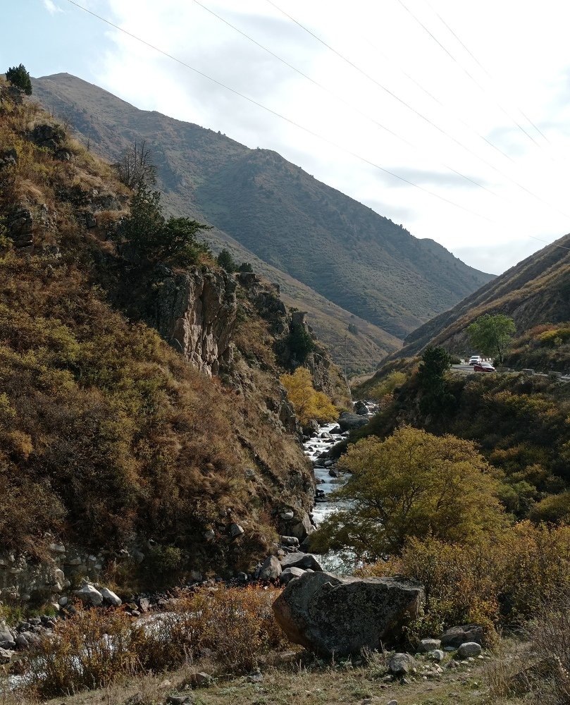 Photo #5412697