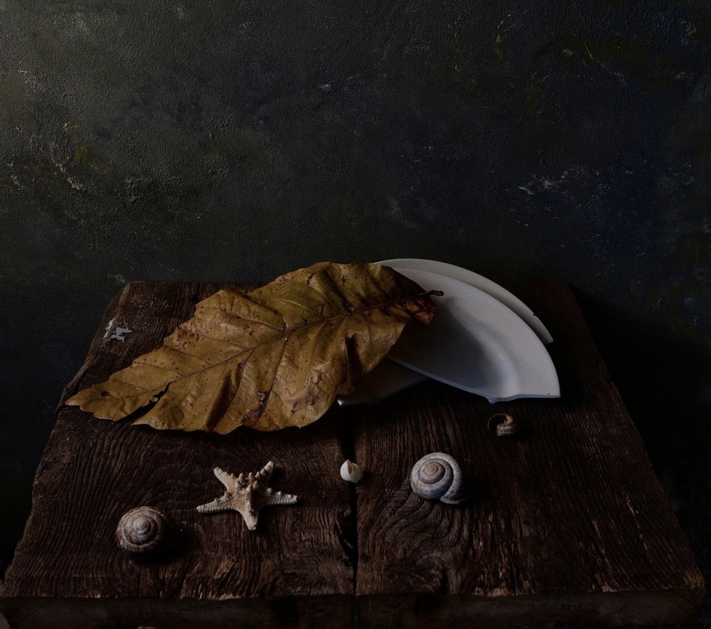 Photograph by Валерия Левшина