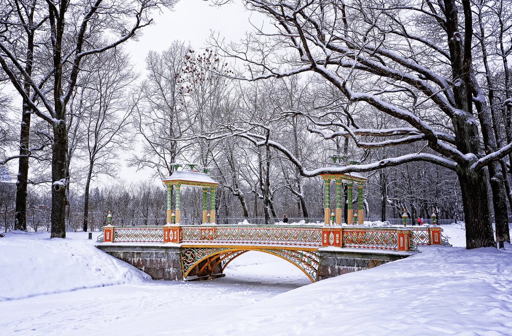 Фотография автора Eлена Пивнякова