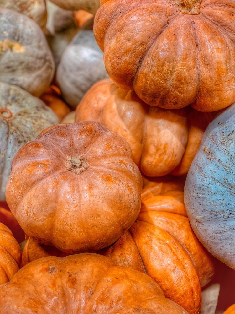 Photograph by Anastasia Malysh