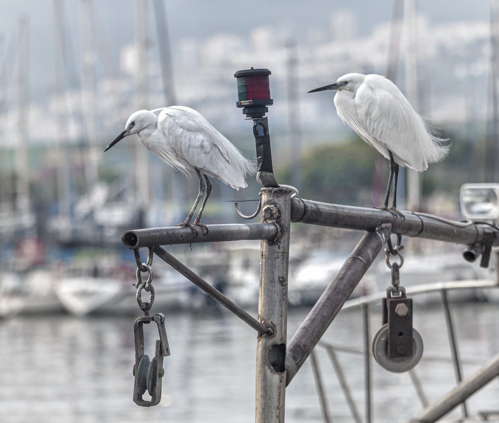 Photograph by Ilya Spektor