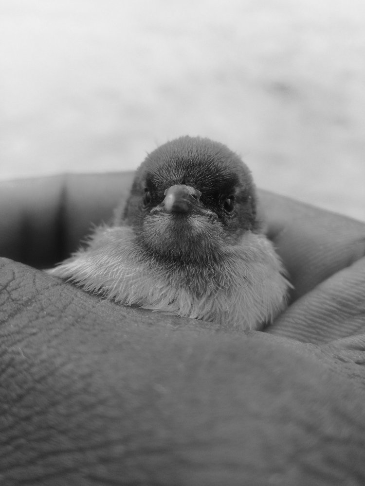 Photograph by Morgan Mumba