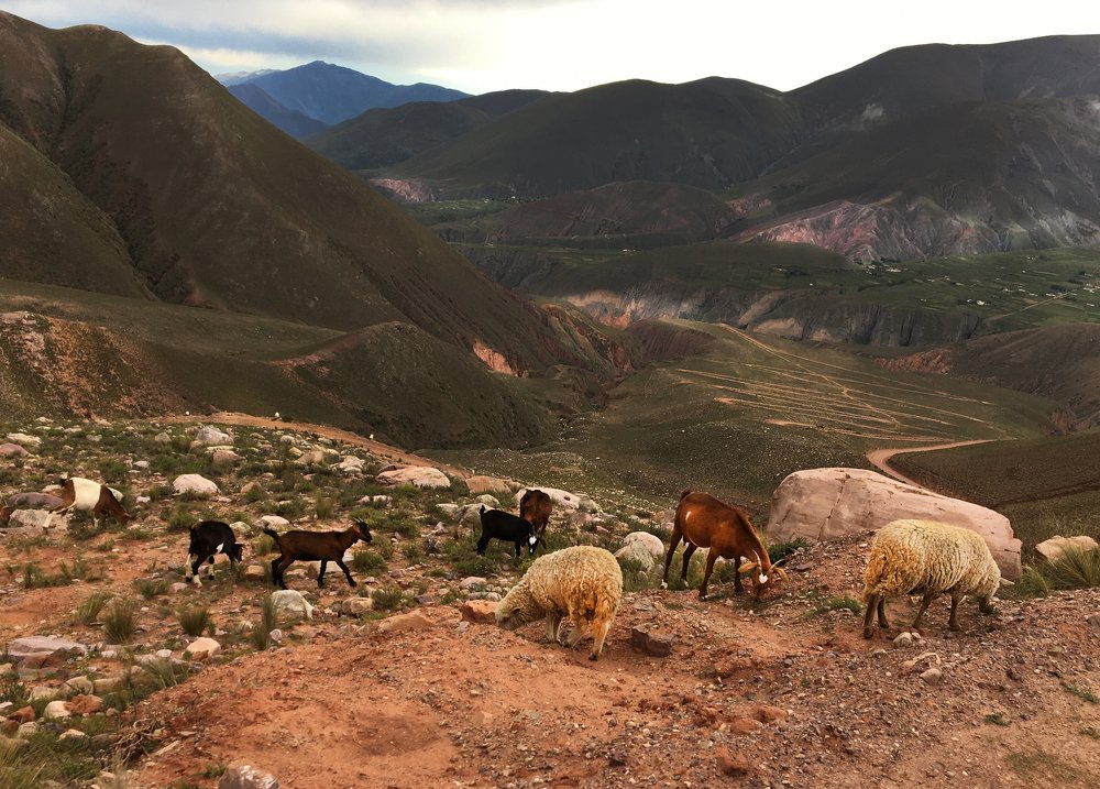 Camino a Iruya, Salta, Argentina.