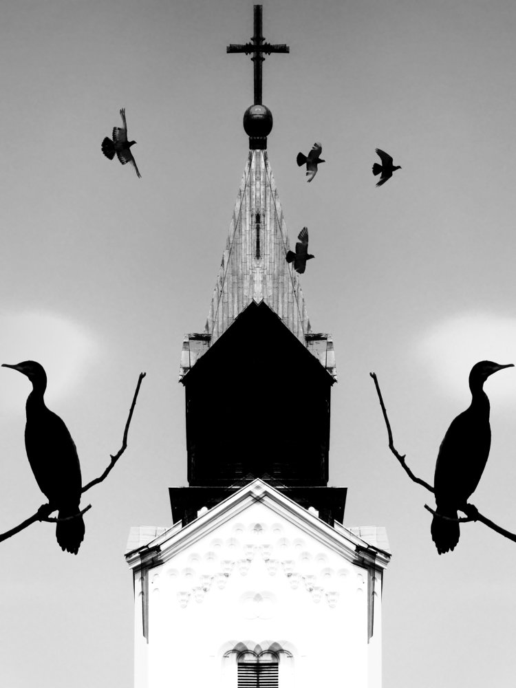 Photograph by Marius Surleac