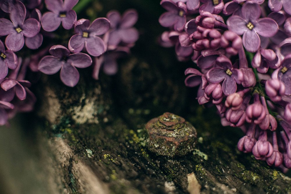 Фотография автора Анна Моргунова