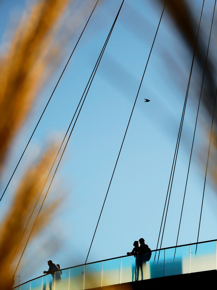 Photograph by Marius Surleac