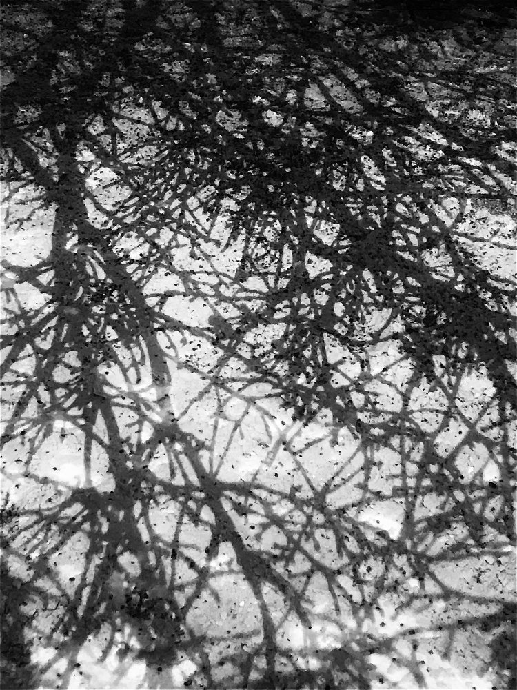 Photograph by Анастасия Лопатина