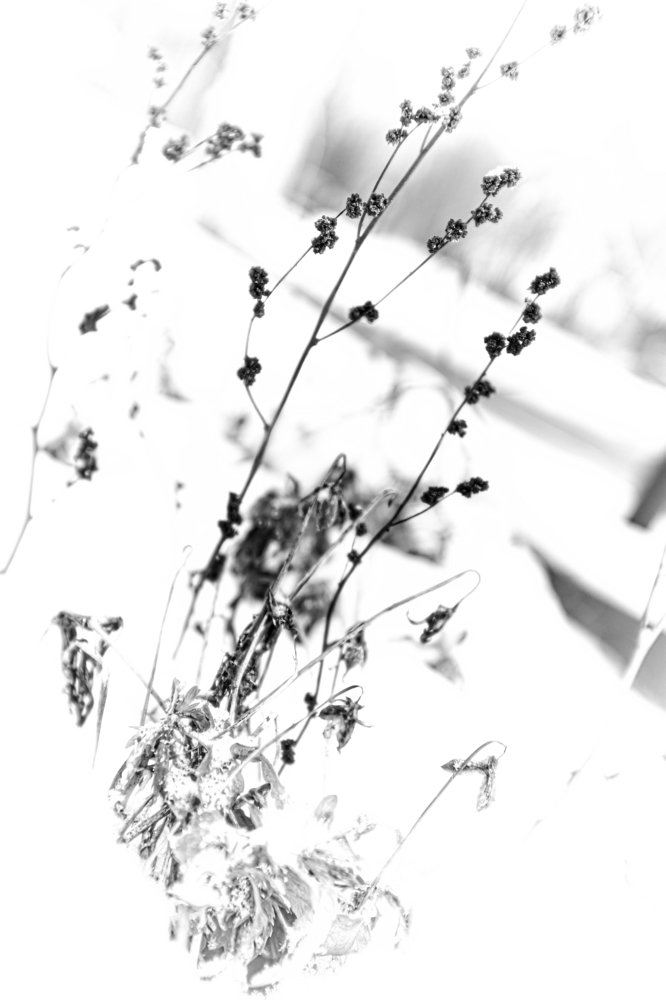 Photograph by Алексей Подрезов