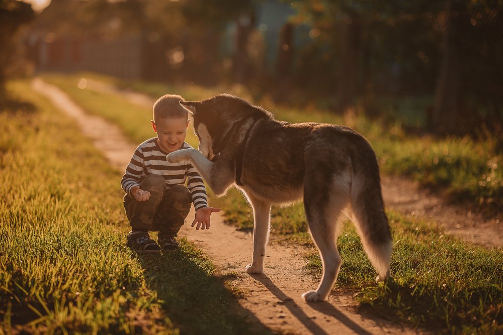 Photograph by Дарья Кедало