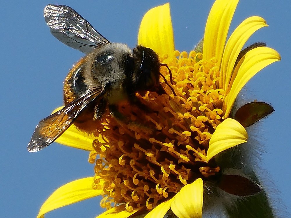 Photograph by Edgar Enríquez