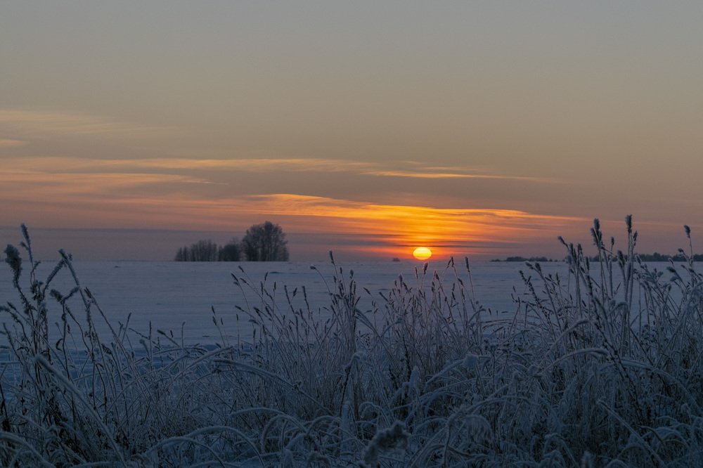 Фотография автора Галина Луценко
