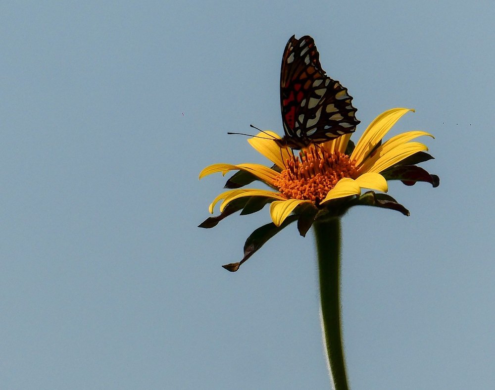 Photograph by Edgar Enríquez