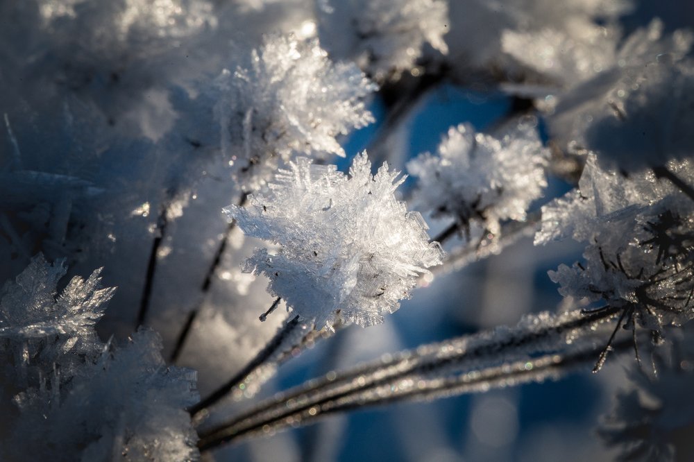 Photograph by Veronika Trubnikova