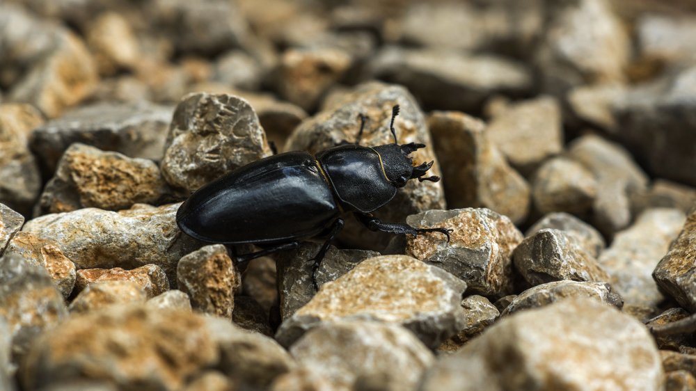 Photograph by косяк