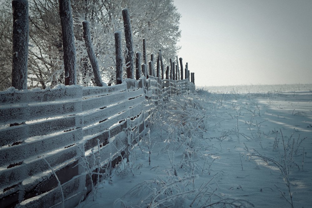 Photograph by Alexey Belov