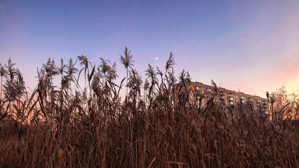 Последний закат